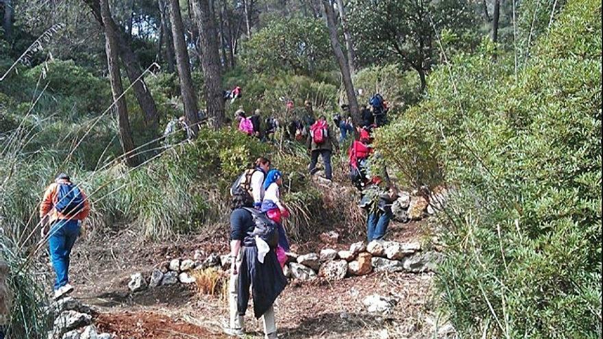 Imagen de un camino público que transcurre por el municipio de Selva.