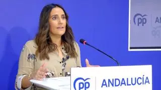 El PP cifra en 280.000 los andaluces en situación de vulnerabilidad que quedarán fuera de las tarjeta monedero