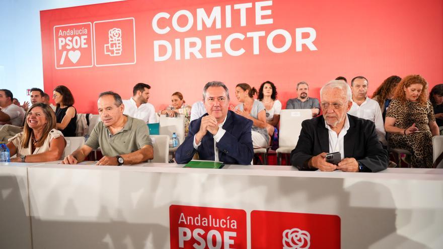 El secretario general del PSOE de Andalucía, junto al presidente del PSOE-A, Manuel Pezzi.