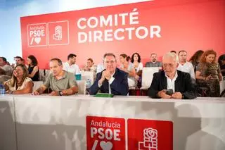 Cuenta atrás para el Congreso del PSOE que acogerá Sevilla: arranca la elección de los 268 delegados andaluces