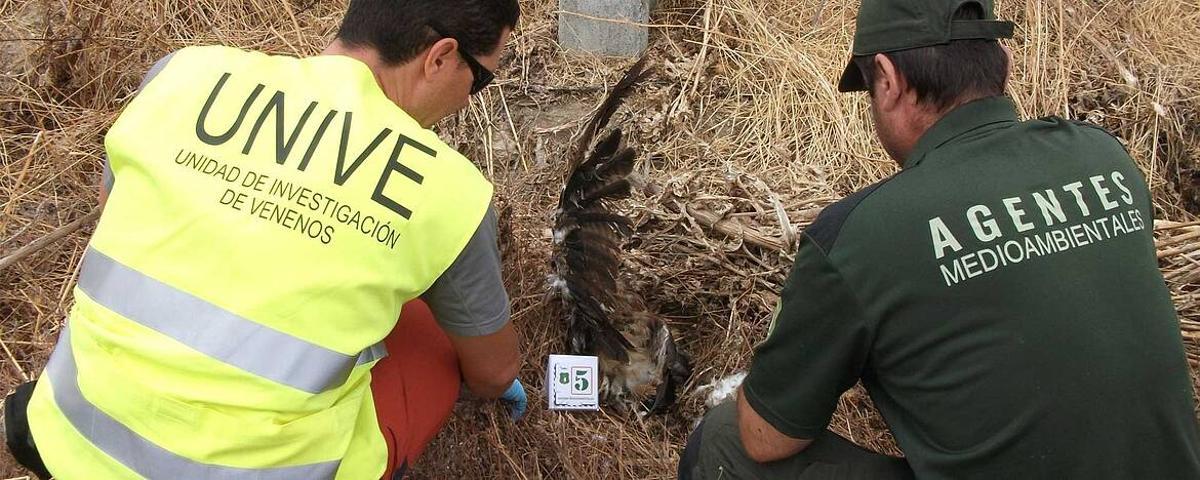 Solo una pequeña parte de los delitos contra el medio ambiente llega a juicio en España