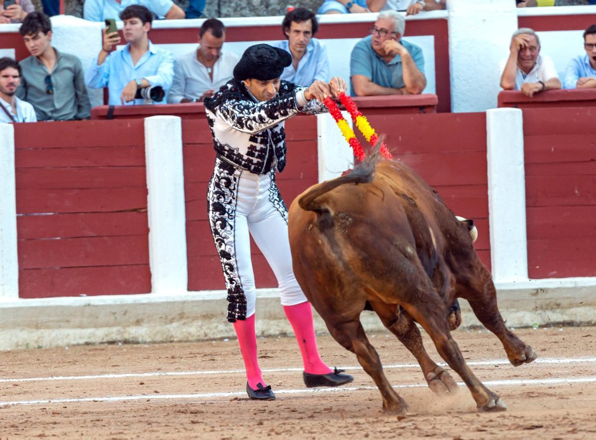 Javier Gómez Pascual, poniendo un par de banderillas en su última tarde en la plaza de toros de Zamora. | VERGEL