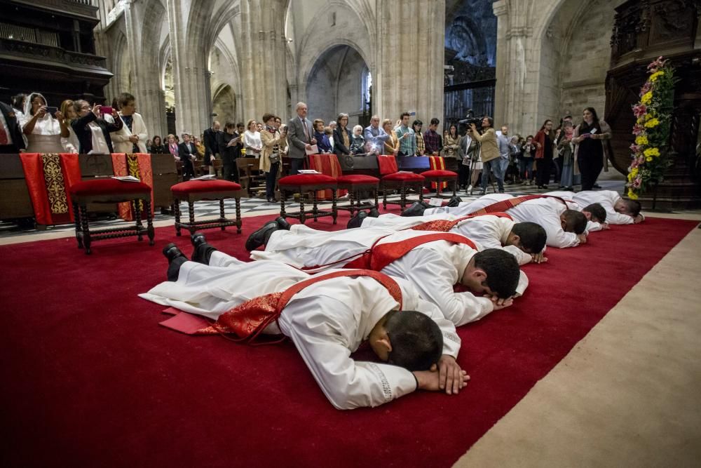 Ordenación de nuevos sacerdotes en la Catedral