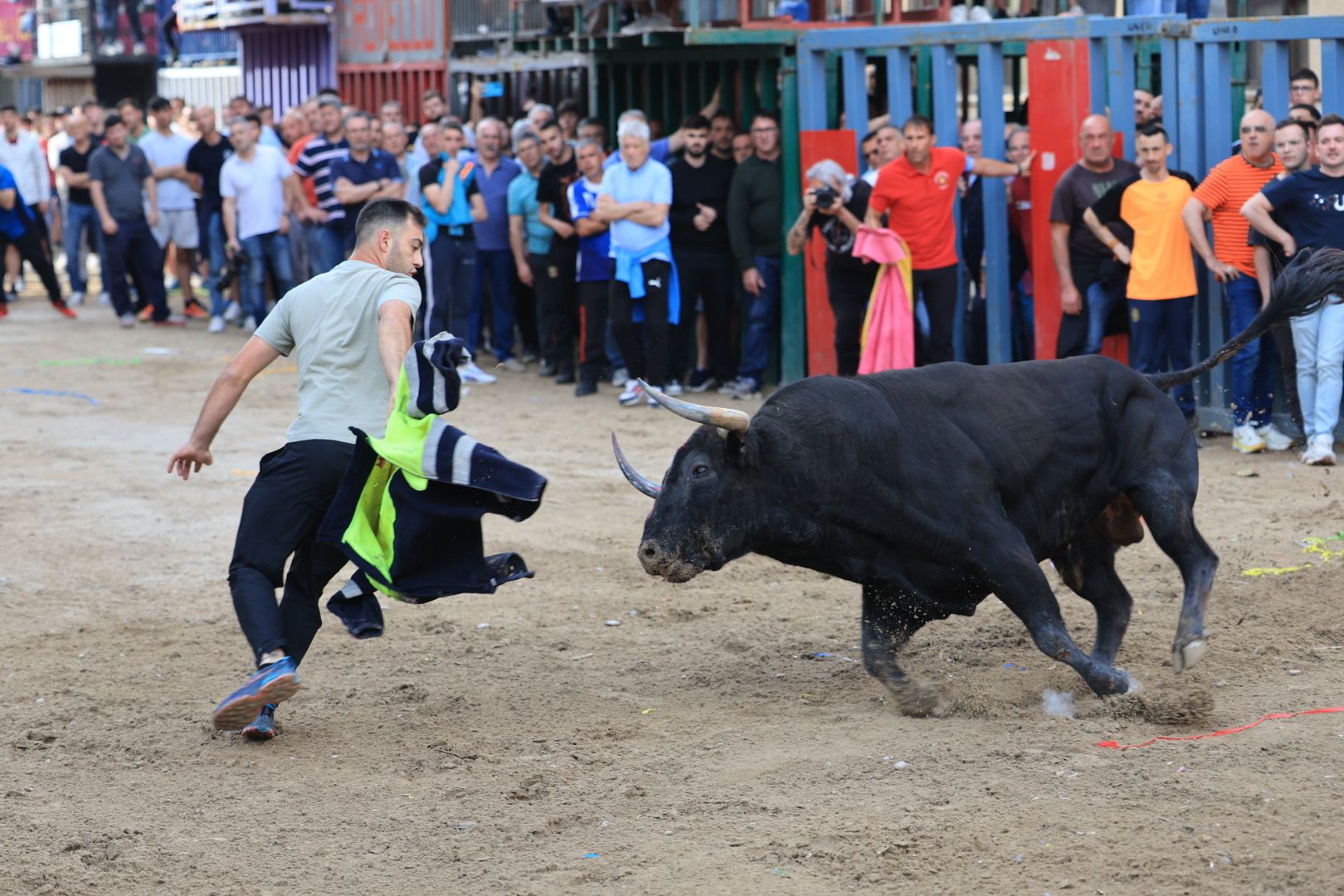 Fotos de la tarde taurina del jueves de las fiestas de Sant Pasqual en Vila-real