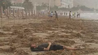 Alicante inicia la limpieza para recuperar las playas tras los efectos de la DANA