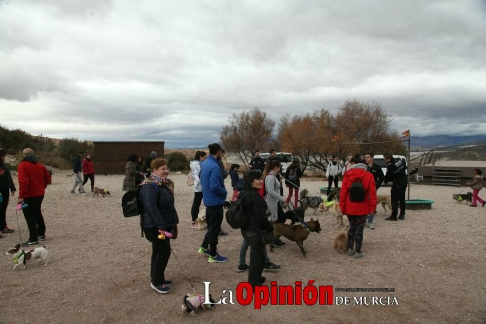 Jornada especial por San Antón en la Fortaleza del Sol de Lorca