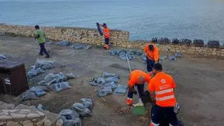Así se limpia la costa de Tarragona después de los Focs Artificials
