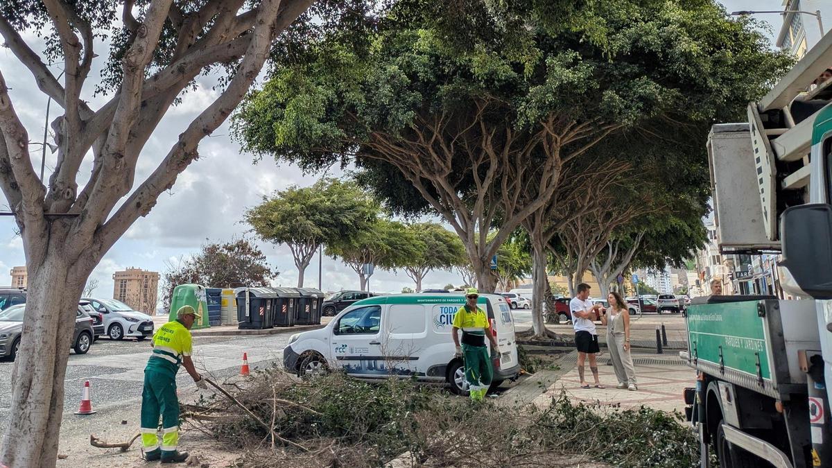 Operarios de Parques y Jardines, uno de los servicios que están en nulidad.