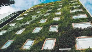 Los beneficios de las fachadas vegetales: combaten el calor urbano y fomentan la biodiversidad