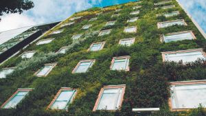 Jardín vertical interior en el Hotel Gaia B3, de Bogotá, obra del biólogo alicantino Ignacio Solano, en colaboración con Groncol.