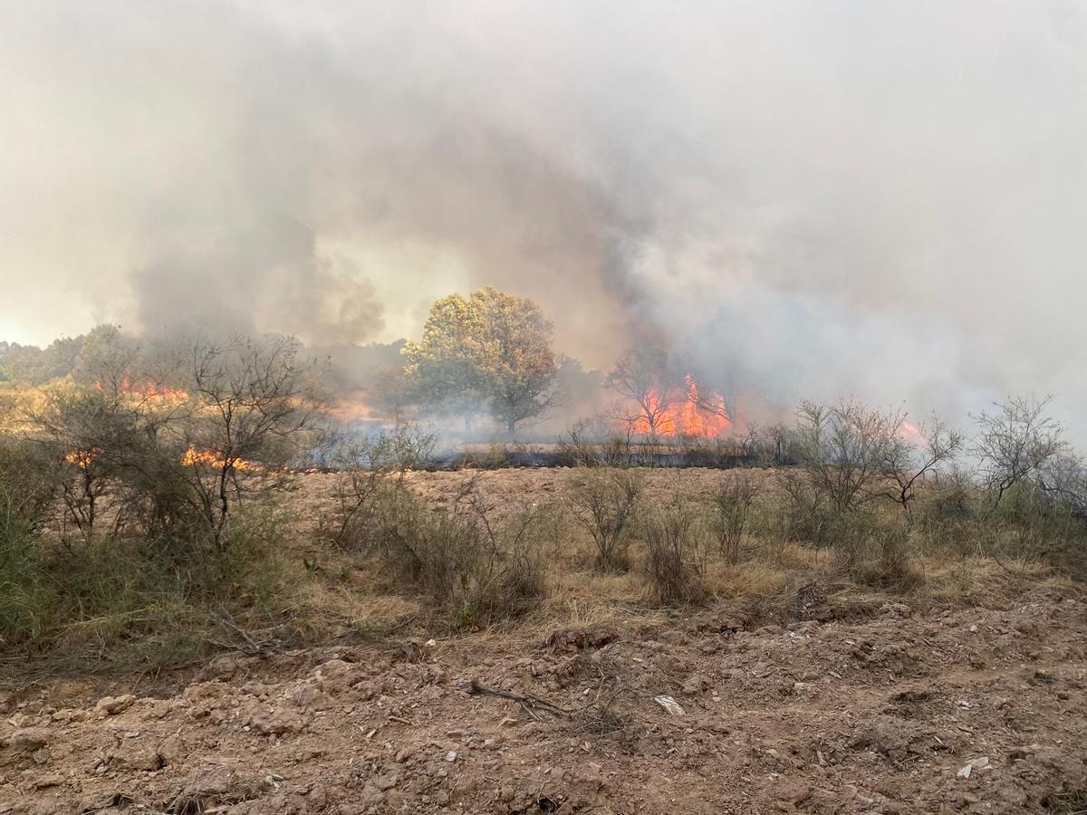 GALERÍA | Incendio forestal en Rábano de aAliste GALERÍA | Incendio forestal en Rábano de aAliste