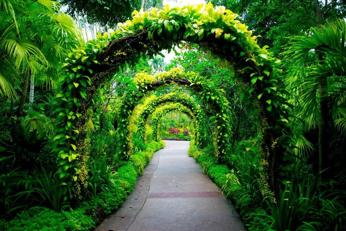Singapore Botanic Gardens, jardin