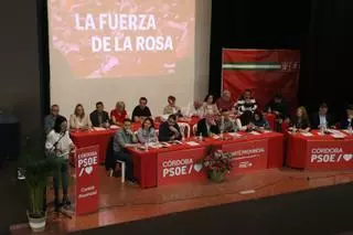 El PSOE de Córdoba funda un 'think tank' para lograr "la reconquista social de la provincia"