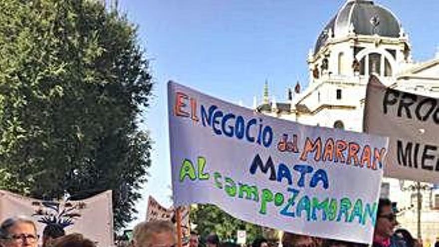 Manifestación en Madrid contra las macrogranjas.