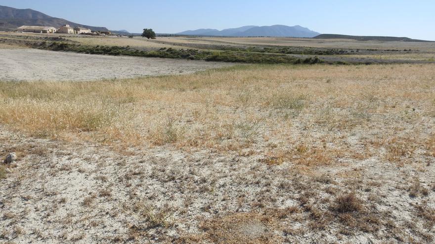 La macroplanta solar de Zarcilla de Ramos de Lorca sigue sin convencer a los vecinos