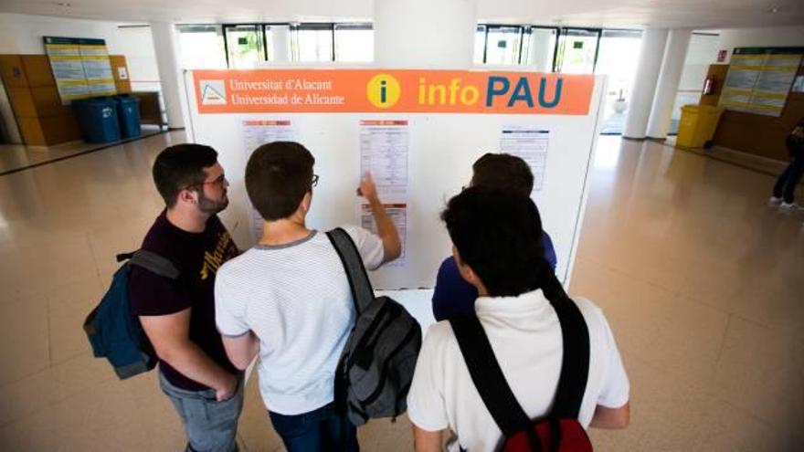Varios estudiantes observando un panel informativo sobre las PAU en el Aulario II de la UA.