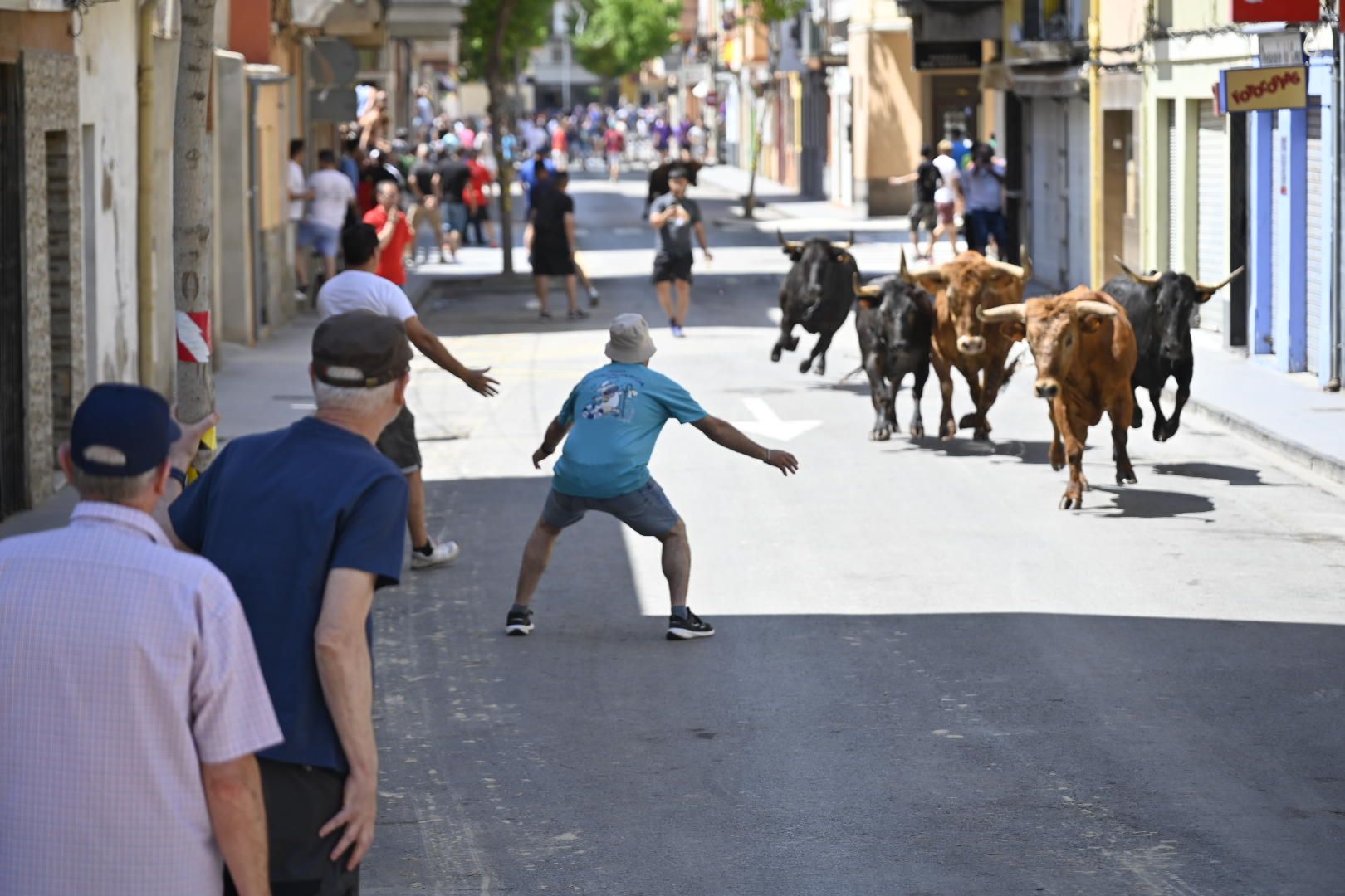 El ‘bou’ toma protagonismo mañana, tarde y noche en el Grau en fiestas