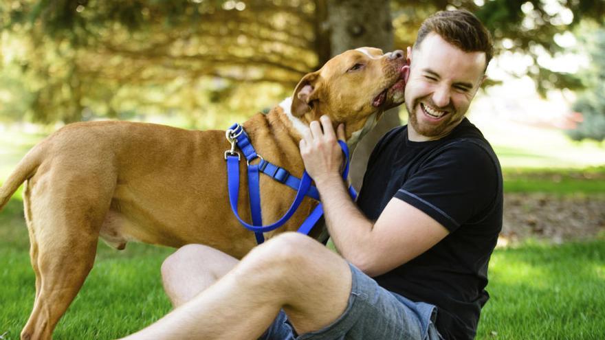 ¿Debemos dejar que las mascotas besen nuestra cara?