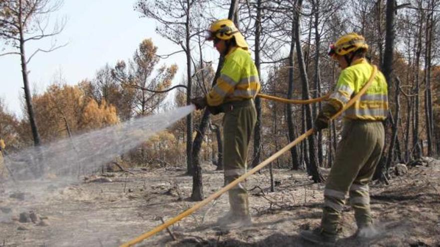 Dos brigadistas rematan la extinción del trágico incendio que asoló la zona de La Torre, Penàguila y Benifallim.