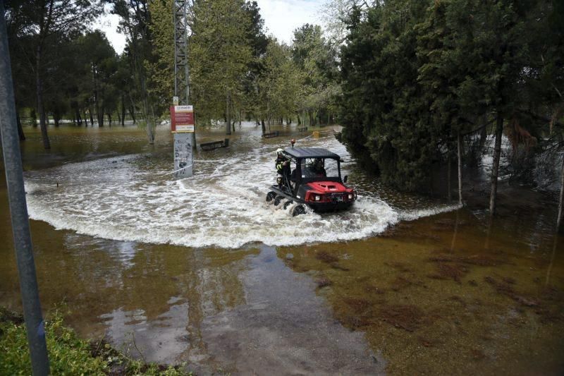 Impresionantes imágenes de la crecida del rio en Gelsa, Pinta y Quinto de Ebro