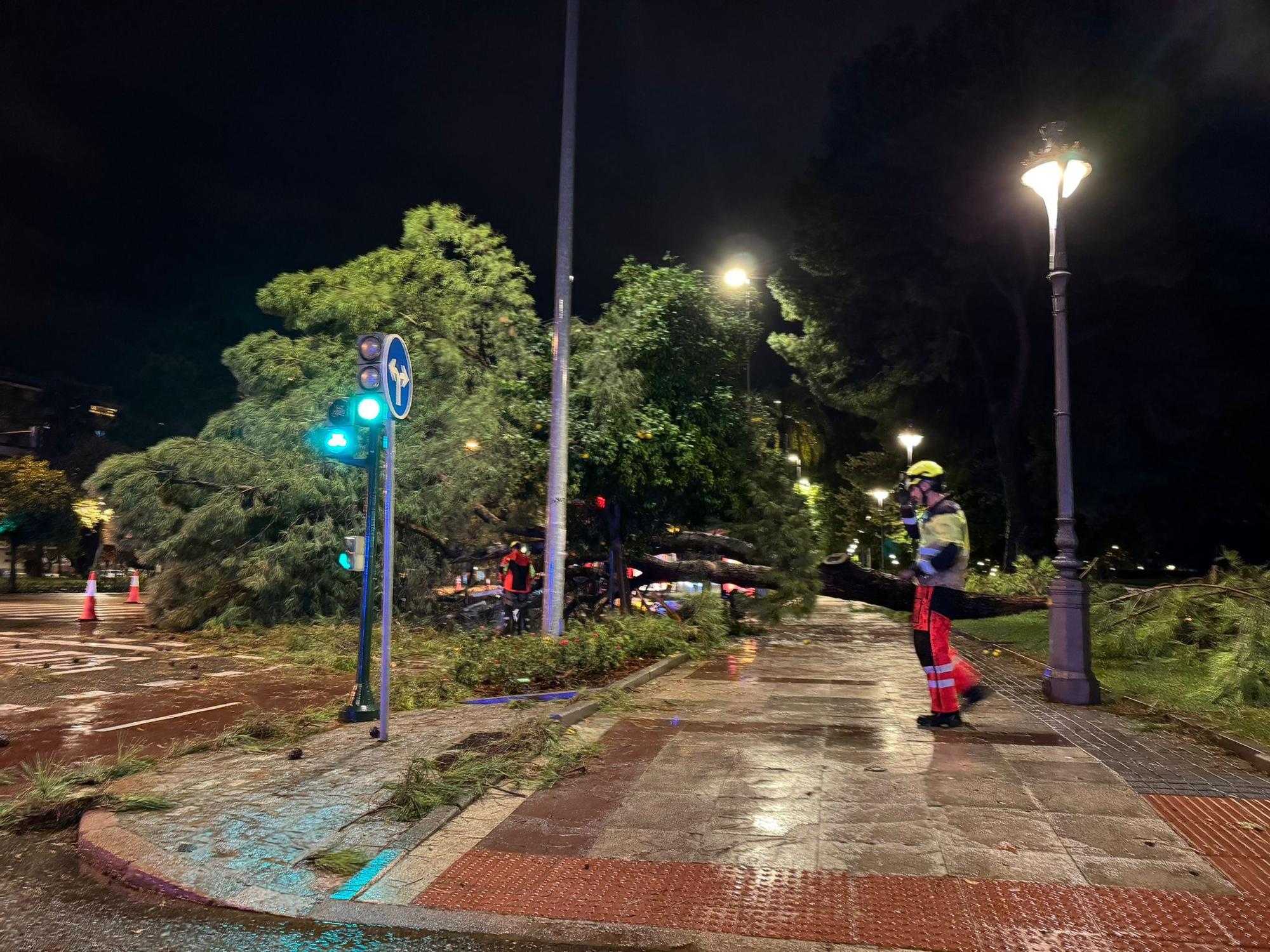 La borrasca Claudia siembra el caos en Córdoba