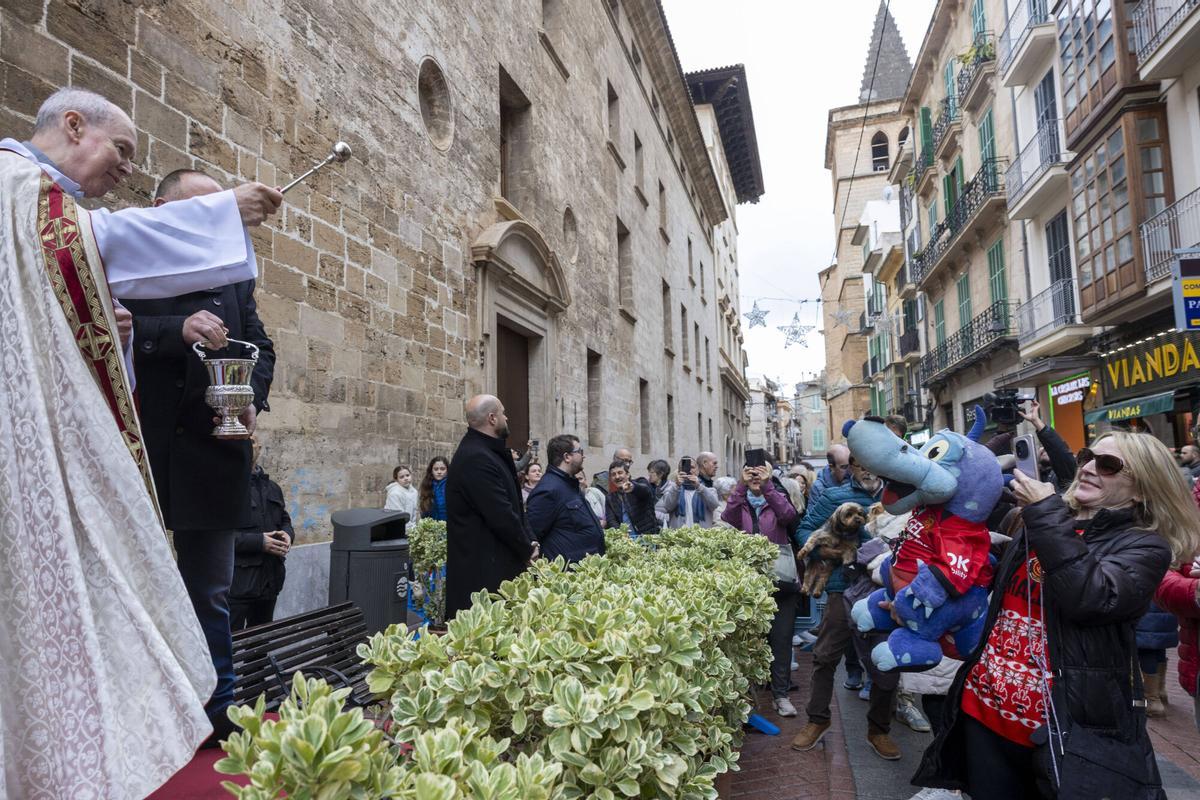 PALMA. BENEIDES DE PALMA 2026.