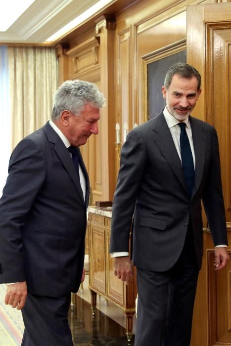 Felipe VI se reúne con Pedro Quevedo (NC)