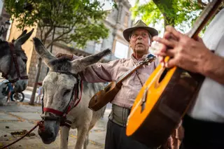 Día de los burros en La Laguna