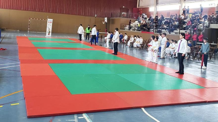 Uns 200 judokes prenen part al Vila de Santpedor de categories des de prebenjamí a infantil