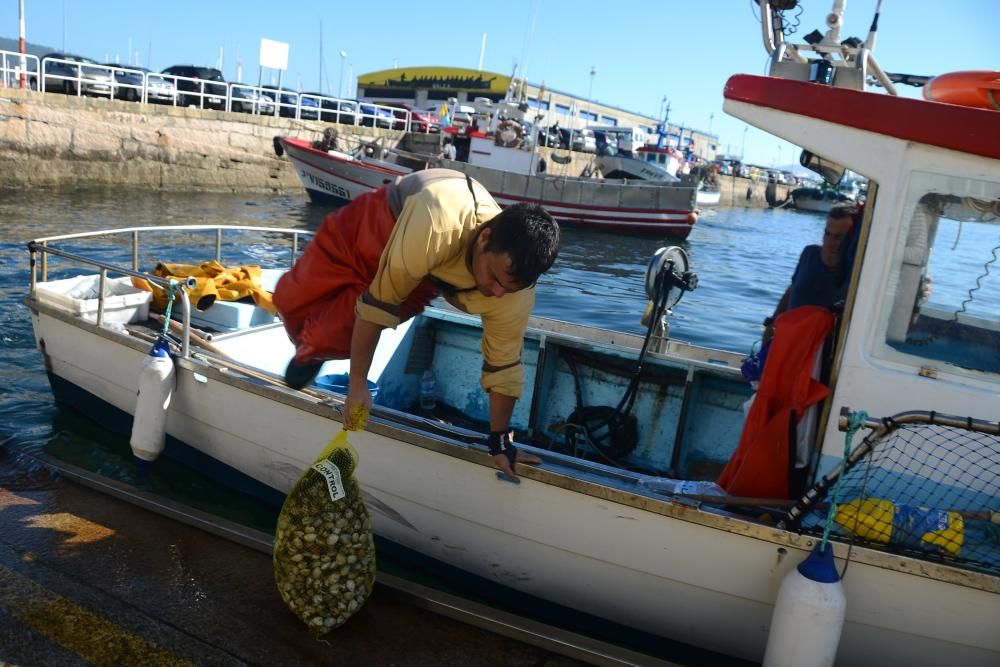 Rodeira salva el primer día del marisqueo a flote