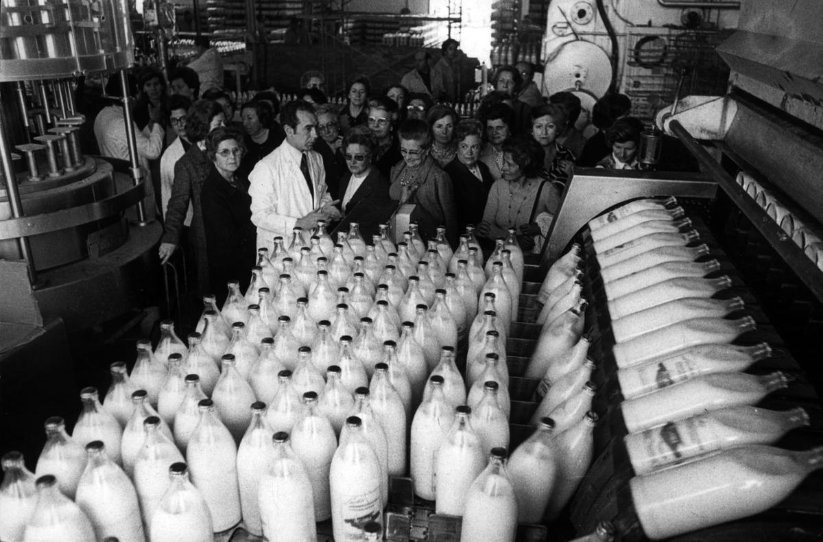 FOTOS | La historia de Agama, en imágenes