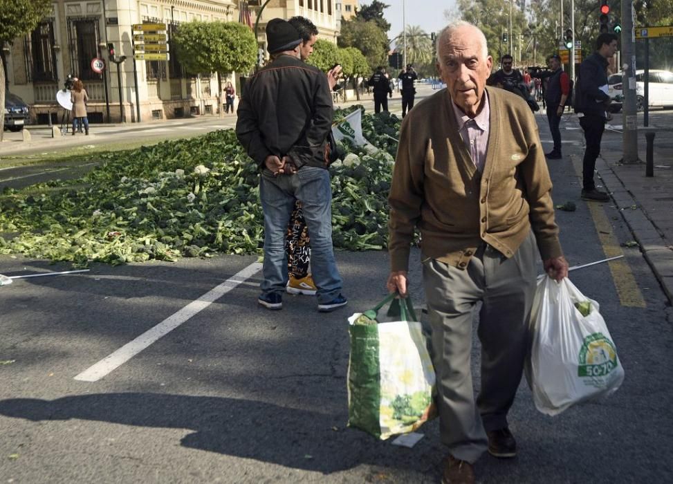 Así ha sido la manifestación de los agricultores en Murcia (II)