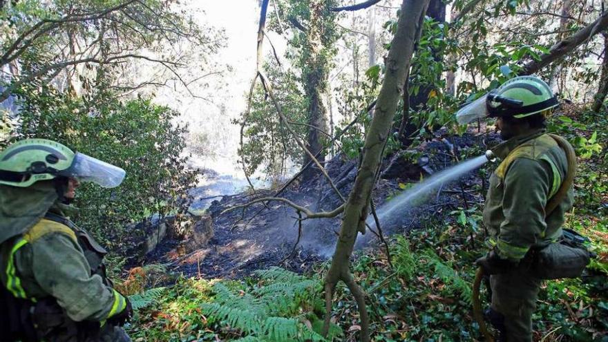 Dos operarios trabajan en la extinción de uno de los incendios registrados en Baiona.