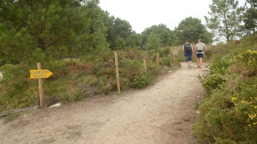 A Illa mantiene el objetivo de recuperar dunas en el interior del parque de Carreirón