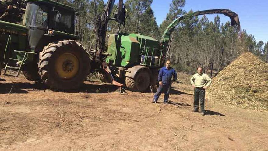 Maquinaria Agrícola trituradora ramas de segunda mano y ocasión