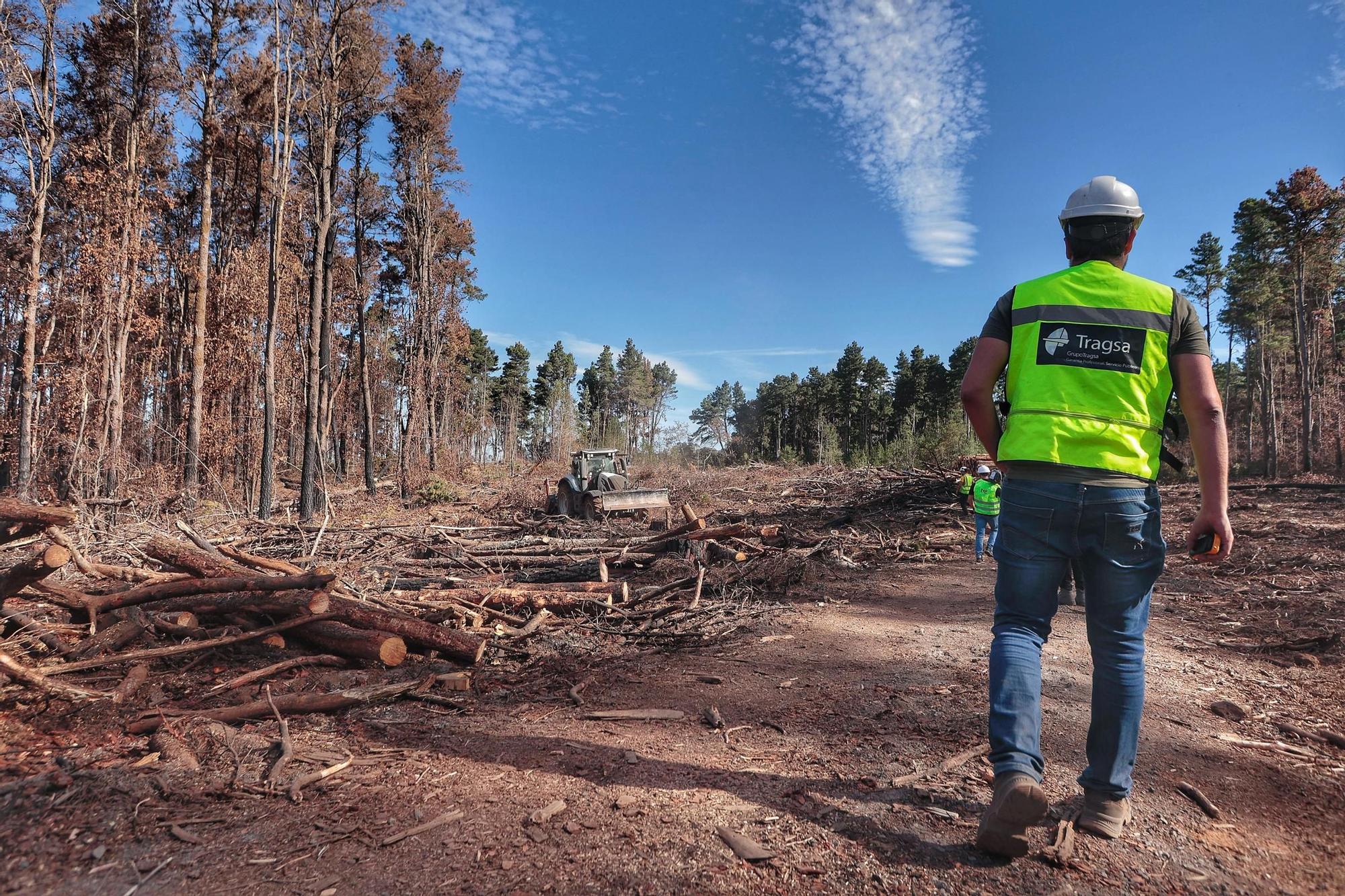 Visita a zonas afectadas por el incendio de agosto en Tenerife