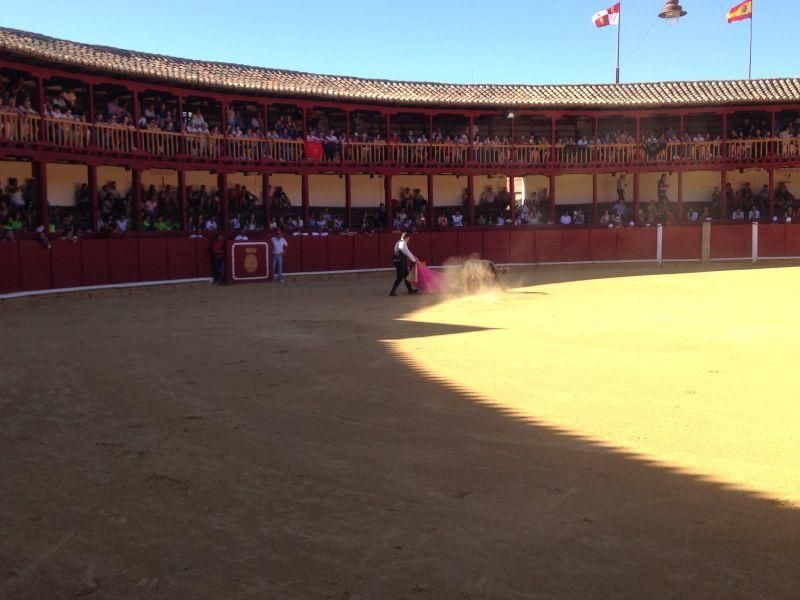 Fiestas en Toro | Becerrada de las peñas