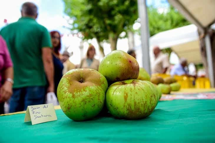 Fiesta de la manzana de Valleseco