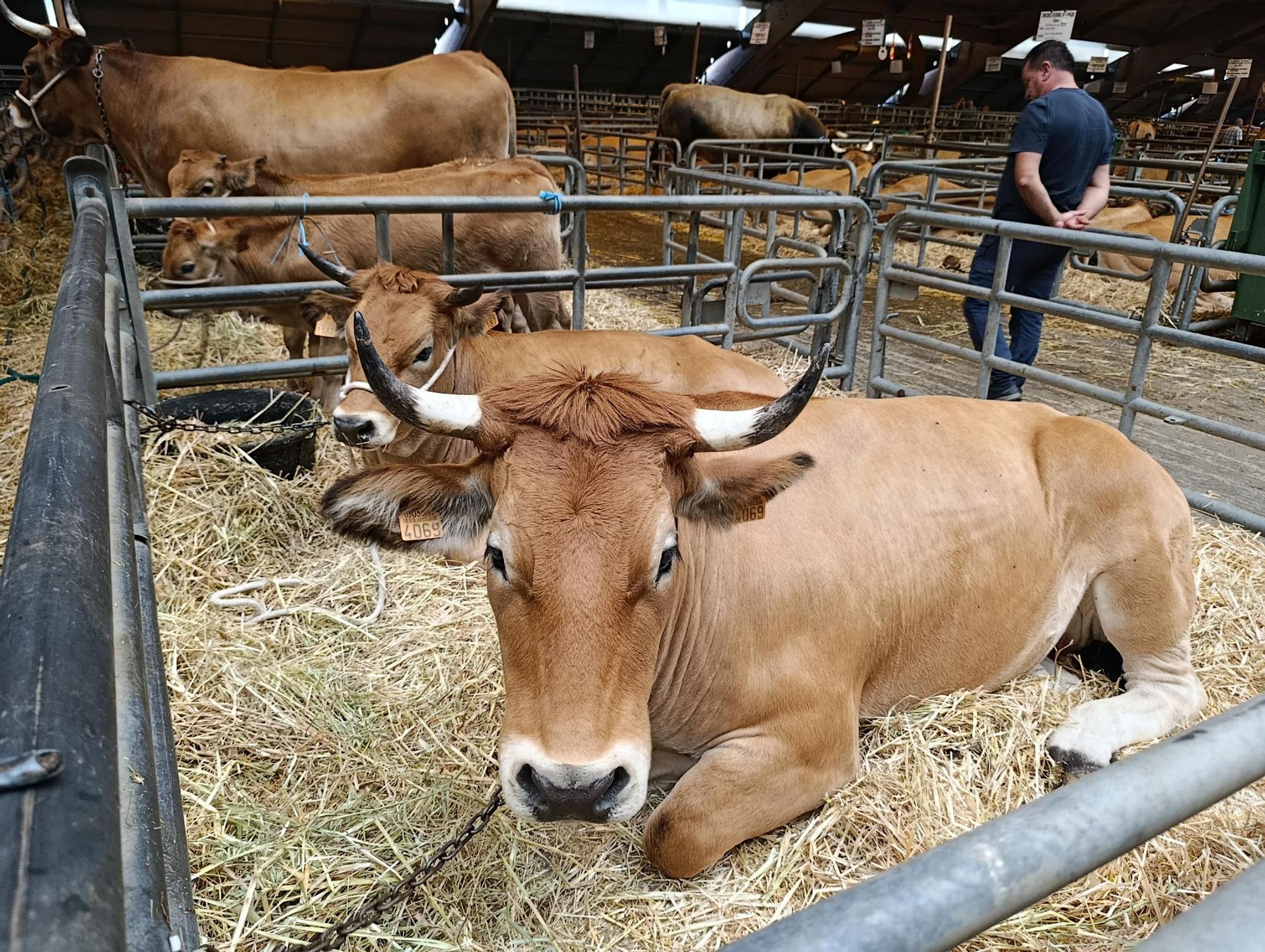 Arranca Agrosiero en La Pola