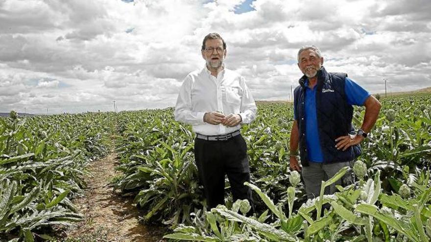 El president en funcions, Mariano Rajoy, va visitar ahir un camp de carxofes de Tudela, a Navarra