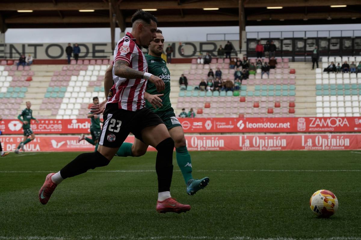 GALERÍA | La victoria del Zamora CF contra el Arenteiro, en imágenes
