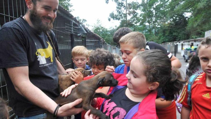 Un final de perros para &quot;Movámonos xuntos&quot;