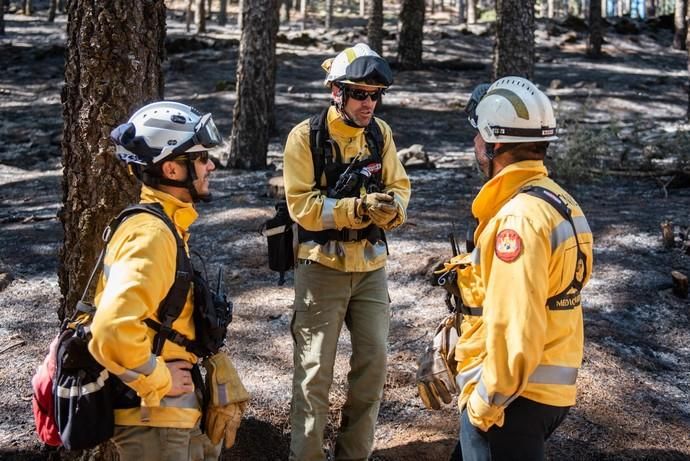 La UME realiza prácticas de prevención de incendios en Gran Canaria