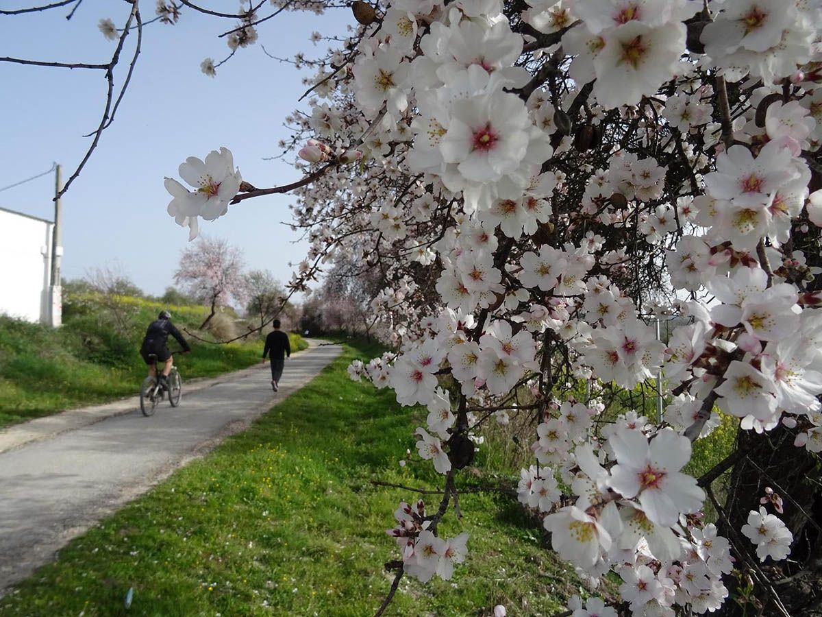 Primavera en la Subbética