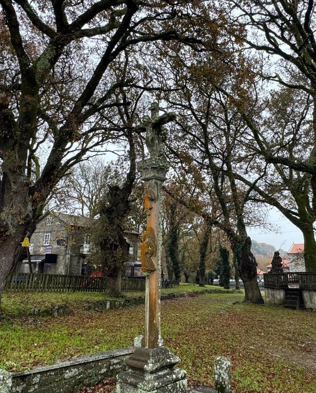 La Carballeira da Sagrada, en Codeseda.  |