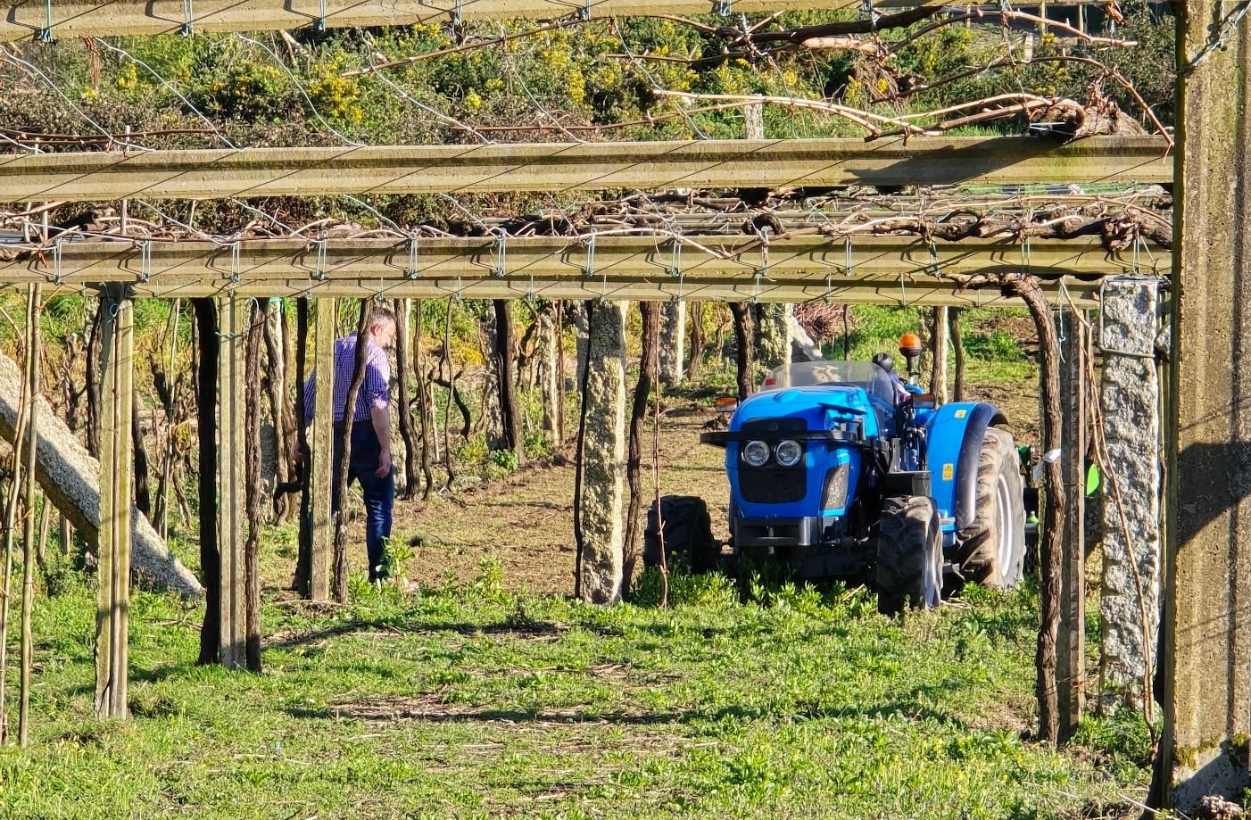 Arousanos aprovechando el buen tiempo para preparar sus tierras de cultivo.