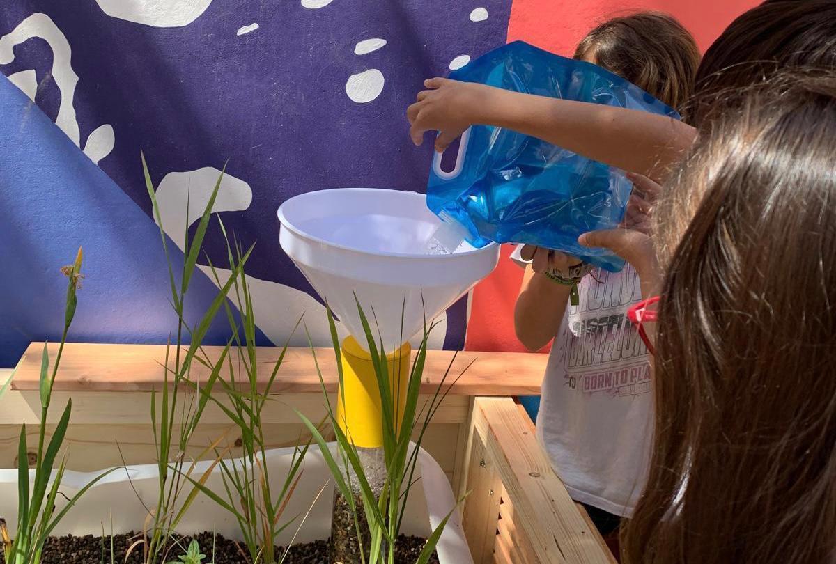 Alumnas de la Escola Diputació trabajan en el proyecto de fitodepuración del agua de lluvia.