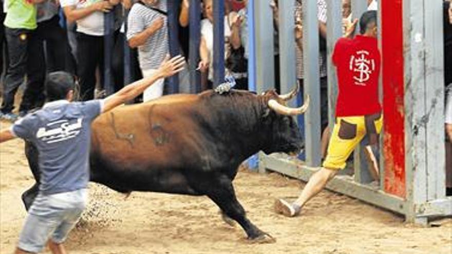 Los taurinos se blindan ante los abusos en una federación nacional