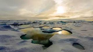¿Convertirá el cambio climático al Ártico en un territorio verde?