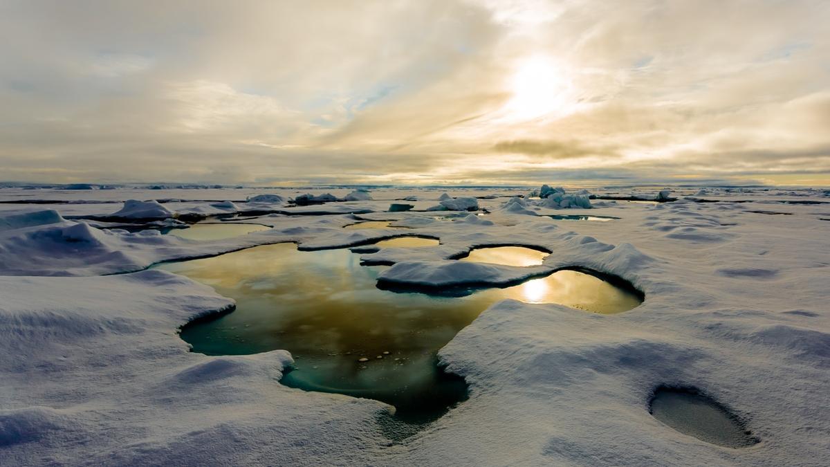 El Ártico está sufriendo la proliferación de algas por el calentamiento global.
